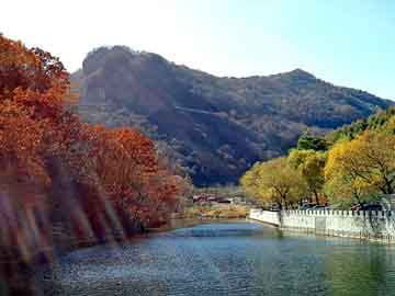 澳门二四六天天彩图库，中关村物流